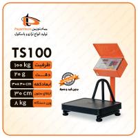 باسکول 100 کیلویی پیام توزین مدل TS100